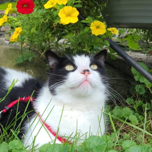 Meet your Posher, Michaela - Picture 1 of 1